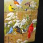 Songbird Menagerie 300 Large Piece Jigsaw Puzzle Birds Buffalo Games Bonus Poster Complete
