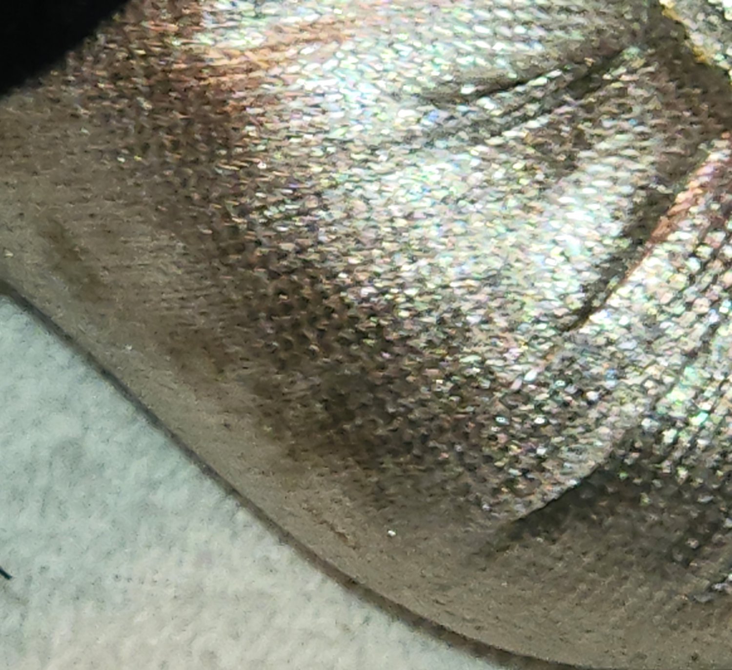 Looney Tunes Tweety & Sylvester 13 Inch Plush Fortune Teller Gypsy