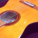Acn G1 Classic Guitar