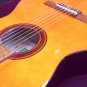 Acn G1 Classic Guitar
