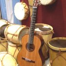 Acn C1j Guitar