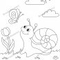 Snail Coloring Pages | Snail Coloring Book for Kids | Printable Pages