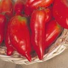 Jersey Devil Tomato - 100 Seeds