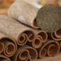 Green Tree Cinnamon - 6 Seeds