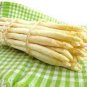 Rare White Asparagus Organic Chinese Vegetable - 20 Seeds
