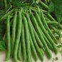 String Bean Non-GMO Dwarf Beans - 30g Seeds