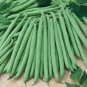 String Bean Non-GMO Dwarf Beans - 30g Seeds