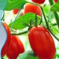 Very Sweet Red Cherry Tomato Seeds, Heirloom Tasty Tomato Fruit - 35 Seeds