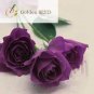 Yunnan Purple Rose Plant - 50 Seeds