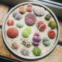 Beauty Mixed Mini Lithops Bonsai Plants Cactus Bonsai Plants 2 - 100 Seeds