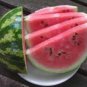 Big Pink Watermelon Improved Seeds - 20 Seeds