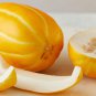 Big Yellow Sweet Taste Vegetable Mitarl Melon - 8 Seeds