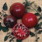 Black Krim Giant Tomato Organic Seeds - 10 Seeds