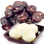 Chinese Water Chestnut Seed Herbaceous Aquatic Plants - 100 Seeds