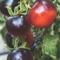 Chocolate Bright Tomato Seeds Heirloom Tasty Tomato Fruit - 25 Seeds