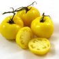 Dwarf Big Yellow Tomato 'Nong Xin' Organic Seeds - 250 Seeds