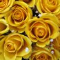 'Euro Tri' Yellow Rose Shrub Flower - 50 Seeds