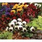 Giant Swiss Mixed Pansy, bonsai garden flowers - 20 Seeds