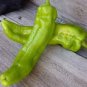 Heirloom Organic Green Red White Hot Chilli Pepper Vegetables - 20 Seeds