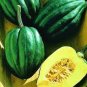 Squash Seed, Acorn Table Queen, Winter Squash Seed, Non-Gmo Heirloom Squash 35ct Plantations