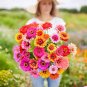 Mixed Zinnia Seeds, Southern Sunset, Heirloom Zinnia Seeds, Non-gmo Annual, 75ct Plantations