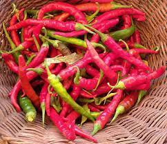 Cayenne Long Slim Pepper Seeds, Heirloom Hot Pepper Seeds, Chili Peppers, 50ct Plantations