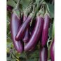 Eggplant Seeds, Long Purple, Heirloom Eggplants, Non-Gmo, Oriental Eggplant 50ct Plantations