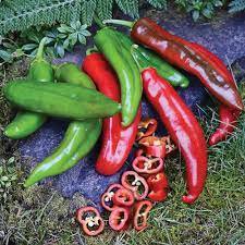 Anaheim Pepper Seeds, Heirloom Hot Pepper Seeds, Chili Peppers, Non-gmo 