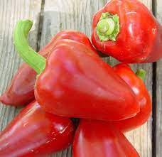 Pimento Seeds, Mild Pepper Seeds, Sweet Pimento, Heirloom Non GMO Peppers, 50ct Plantations