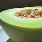 100+ Honeydew Melon Seed, Green Melons, Heirloom Melon Seed, Non-Gmo, Very Sweet Plantations