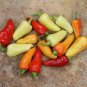 Santa Fe Pepper Seeds, Heirloom Mild Pepper Seeds, Mild Peppers, Non-Gmo, 100ct Plantations