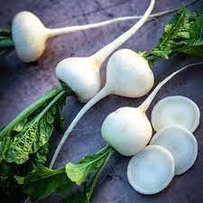 White Radish Seeds, White Globe Hailstone, Bulk Radishes, Heirloom ...