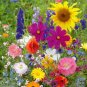 Farm Mix Favorites Special, 3 Full Size Packs, Heirloom Flower Seeds, Colorful! Plantations