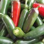 1/4 oz Jalapeno Pepper Seeds, Early Jalapeno, Heirloom Peppers, Non-Gmo 1000ct Plantations