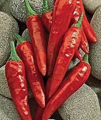 1/4 oz Anaheim Pepper Seeds, Heirloom Pepper Seed, Chili Peppers, Non ...