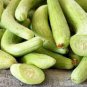 1/4 oz Cucumber Seeds, Armenian Yard Long Cucumbers, Heirloom Seeds, Easy! 250ct Plantations
