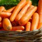 1/4 oz Mini Carrot Seed, Little Finger, Bulk Carrot, Midget Carrot, Apprx 9,000 Plantations