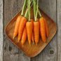 1/4 oz Carrot Seed, Danvers 126, Heirloom Carrot Seeds, Bulk Seed, Approx 5,000 Plantations