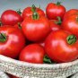Tomato Seeds, Terrific Tomatoes, 4 Pk Special, Heirloom, Unusual & Very Tasty! Plantations