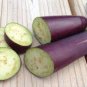 1/4 oz Eggplant Seeds, Long Purple, Heirloom Eggplant, Oriental Eggplant 1,500ct Plantations