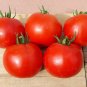 1/2 oz Tomato Seed, Organic Cherry, Non-Gmo Heirloom Tomatoes, For Salads 5000ct Plantations
