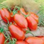 1 oz Tomato Seeds, Roma VF, Non-Gmo Heirloom Tomatoes , Italian Sauces, 10,000ct Plantations