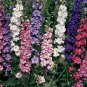 1 oz Larkspur Seeds, Giant Imperial Mix, Bulk Seeds, Heirloom Seeds, approx 9000 Plantations