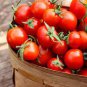 1 oz Tomato Seed, Sweetie Cherry Tomatoes, Non-Gmo Heirloom Tomato, Sweet 12,000 Plantations