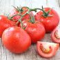 1 oz Tomato Seeds. Homestead, Non-Gmo Heirloom Tomato Seed, Heat Tolerant Plantations