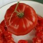 1 oz Tomato Seeds, Red Brandywine, Heirloom Non-Gmo Tomatoes, Slicers, 10,000ct Plantations
