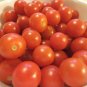Tomato 100 Seeds - Large Red Cherry Plantations