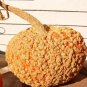 Galeux D' Eysines Squash, (Peanut Pumpkin), Cucurbita maxima, 30 Seeds Plantations