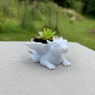 Tiny  dragon air planter