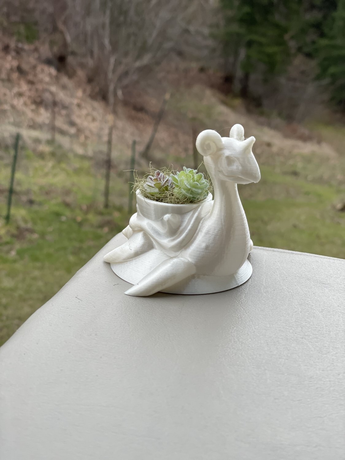 Tiny Lapras dragon air planter